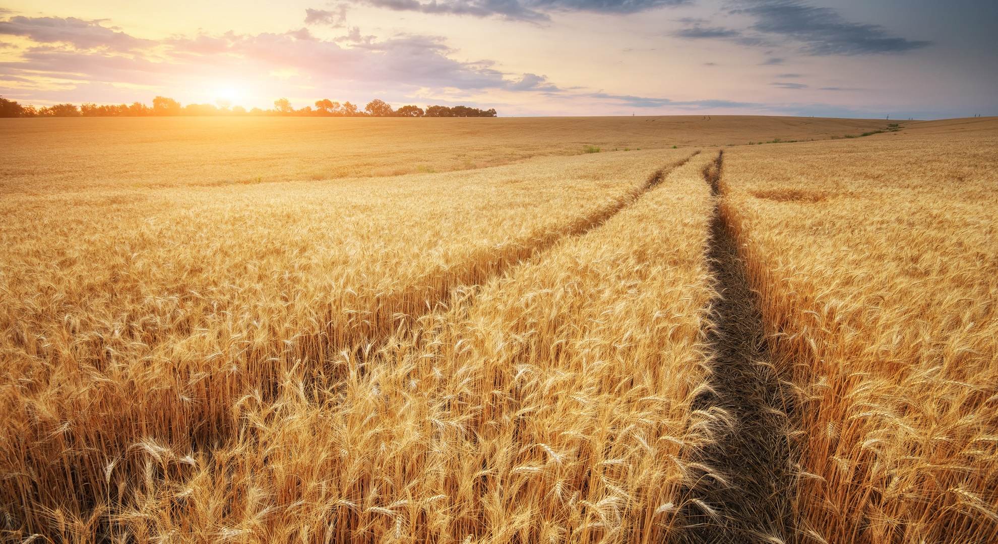 Deep Dive Analysis: GCRA11 Brazil Agribusiness Credit Fund