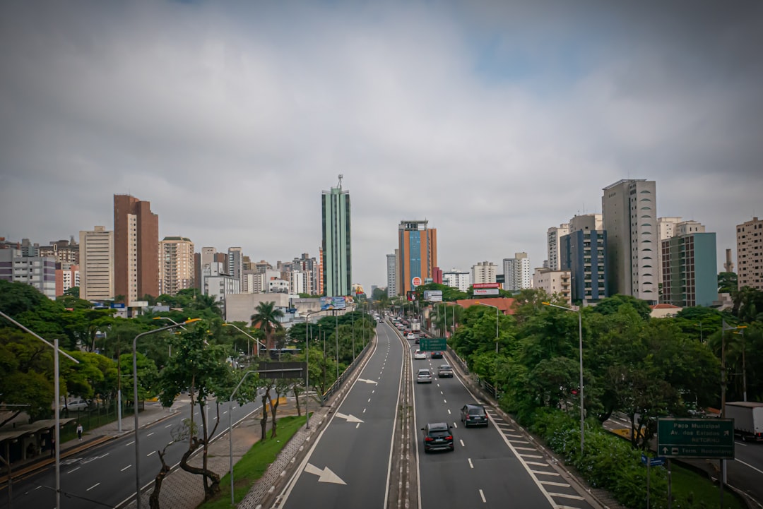 Brazilian Market Update: November 20, 2025 – Insights for Investors