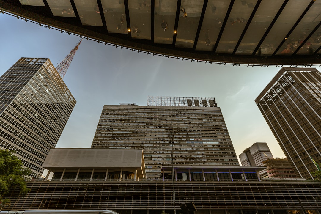 Brazilian Market Update: Key Insights for December 20, 2025