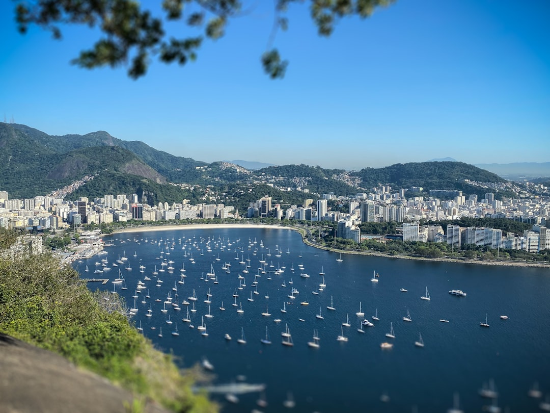 Brazilian Market Update: February 16, 2026 – Key Investor Insights