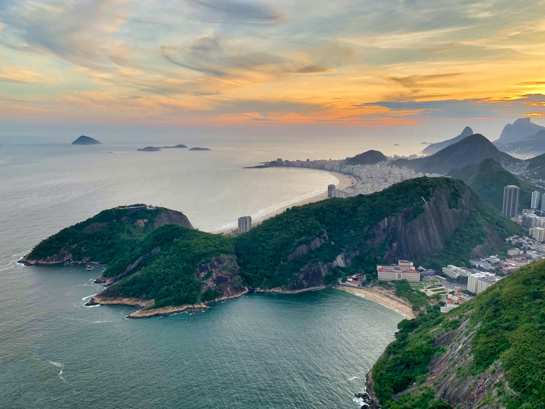 Brazil Markets: Magalu Soars, New Rural Insurance Law, Dividend Payers in Focus – October 01, 2026